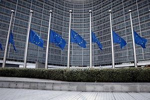 «Попытки внести смуту»: В ГД рассказали, зачем ЕП документ о непризнании Крыма и Донбасса