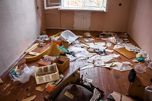 «Бабушка-Гринч» разгромила квартиру, которую не смогла отжать у покупателей по схеме Долиной