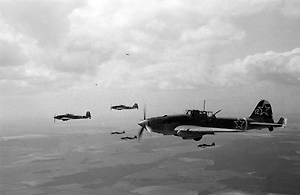 Под Калининградом обнаружили место падения советского Ил-2, сбитого в 1945 году