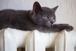 В РФ введут новые штрафы за нарушения при подготовке к отопительному сезону