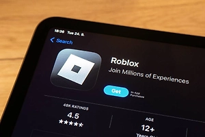 Мизулина направит в Роскомнадзор письма детей о блокировке Roblox