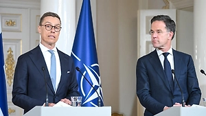 Лидеры Финляндии и НАТО боятся оставлять Зеленского одного на разговорах с США