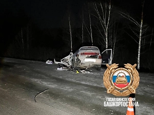 Пятеро детей и их мама пострадали в жутком ДТП с грузовиком в Башкирии, отец погиб