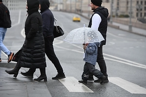 Москвичей ждут проверки на переходах: ГИБДД объявила новый рейд