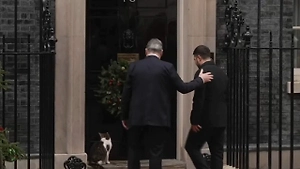 Кот Ларри снова отказался заходить вместе с Зеленским в резиденцию на Даунинг-стрит