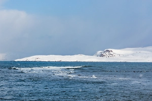 Неизвестное захоронение ядерных отходов найдено в Баренцевом море

