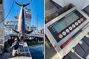 В Калифорнии рыбак поймал огромную рыбу-меч весом почти 150 кг