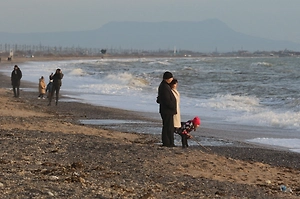 Переселенцы с Украины потребовали от Зеленского «оставить Крым в покое»