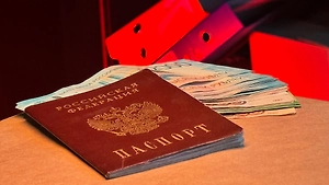 Французы выбились в лидеры по количеству полученных российских паспортов в 2025 году