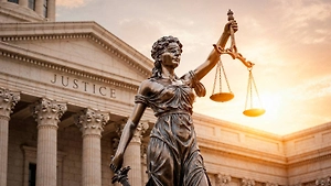 Адвокат объяснил, как «эффект Долиной» отразится на судебной практике в России