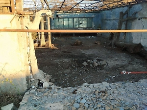 Ростовский Южный парк птиц поможет пострадавшему от ВСУ зоопарку в Запорожье 