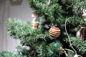 В Петербурге стартовала акция «Дерево желаний» в преддверии Нового года