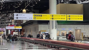 План «Ковёр» ввели в аэропортах Внуково и Жуковский, в Иваново и Ярославле