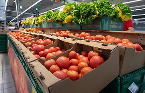 Импортозамещение ускоряется: доля российских продуктов выросла до 22%