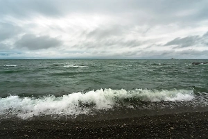 Росморречфлот сообщил о деталях атаки на танкер с подсолнечным маслом у берегов Турции

