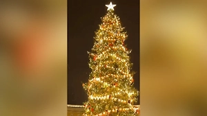 Новогодние огни зажгли на главной ёлке Петербурга