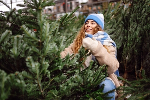 «Новогодние» клещи пробудились из-за тёплой зимы и атакуют дома россиян с живых ёлок