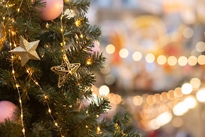 На видео сняли, как в Эстонии новогодняя ёлка зажглась только после команды на русском