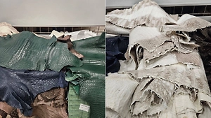Таможенники задержали пассажира из Китая с 55 шкурами крокодилов
