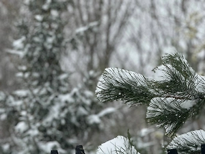 Life.ru выяснил, почему ни в коем случае нельзя охлаждать продукты в снегу