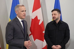 Зеленский молча кивнул в ответ на заявление Карни о роли России в урегулировании