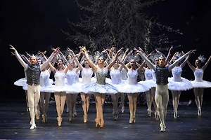 Штурм «Щелкунчика»: В Госдуме предупредили о мошенниках на фоне упавшего сайта Большого театра