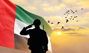 ОАЭ выводит антитеррористические силы из Йемена