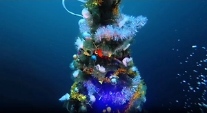 Дайверы отводили хоровод вокруг подводной ёлки на Байкале