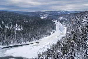 Заблудившиеся в лесу отец и сын едва не замёрзли насмерть, их спасли ротвейлеры