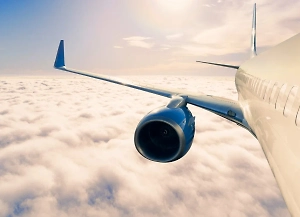 Хоккеист из «Чупакабры» напал на пассажира самолёта во время снижения в Сургуте