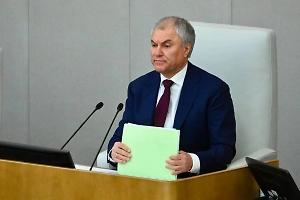 «Не надо было на коврижки вестись»: Володин дал совет журналистам, жившим на гранты USAID