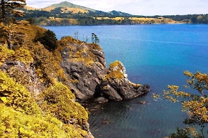 «Благословение от США»: На Сахалине объяснили усиление претензий Японии на Курилы