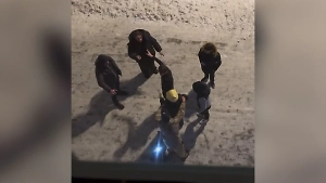 Крики и драки: Жители ЖК в Москве ищут управу на пивной ресторан, который не даёт им спать