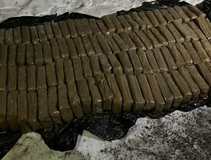 Таможенники перехватили грузовик из Белоруссии с гашишем на 350 млн рублей