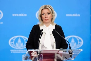 МИД вручил ноту посольству Британии из-за нападения дипломата на журналистку