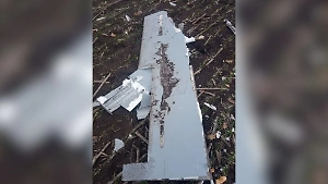 В ЛНР сбили беспилотник ВСУ с отравленным боеприпасом