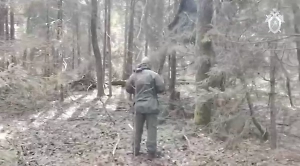 34-летний житель Твери задержан за убийство девочки, чьё тело нашли в лесу