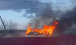 Тела нашли на пепелище: На Урале двое детей заживо сгорели в заброшенном сарае