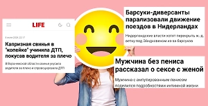 Тест на День дурака 2025: угадайте, где реальная новость от Life.ru, а где вымысел от нейросетей