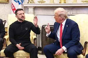 «Я не уверен, что он такой»: Трамп усомнился в компетентности Зеленского