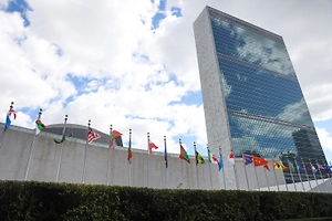 СБ ООН соберёт заседание по Ирану 15 января по запросу США