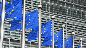 Экс-посол Сибал заявил о расколе внутри Евросоюза из-за подходов к России