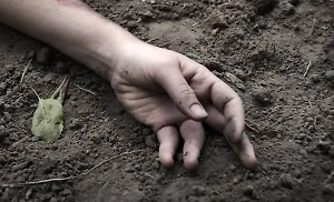 «Там полная разруха»: Пленный боец ВСУ рассказал о «горах трупов» украинских солдат в Димитрове