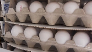 Трамп и власти Калифорнии встретятся в суде из-за яиц