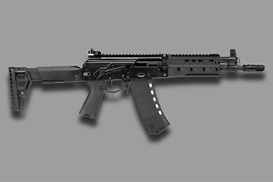 В рекордные сроки: «Калашников» представил укороченный автомат для городского боя