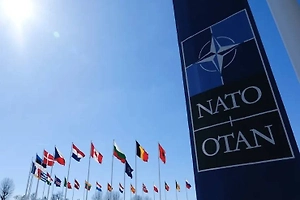 Американист оценил готовность США покинуть НАТО из-за Гренландии