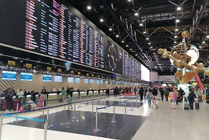 Запрет на приём самолётов в Шереметьево продлили