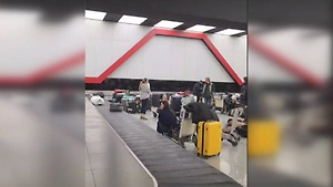 Людей больше, сумок меньше: Снегопад парализовал работу аэропорта Шереметьево