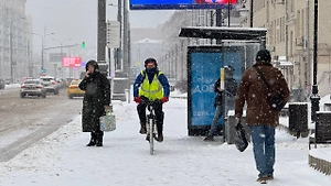 Психолог назвала способ адаптироваться к снежной метели и не срываться на близких