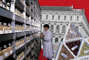 Умирали от голода, но не тронули зерно: подвиг учёных блокадного Ленинграда